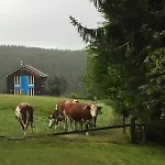 Two In One House - Matz